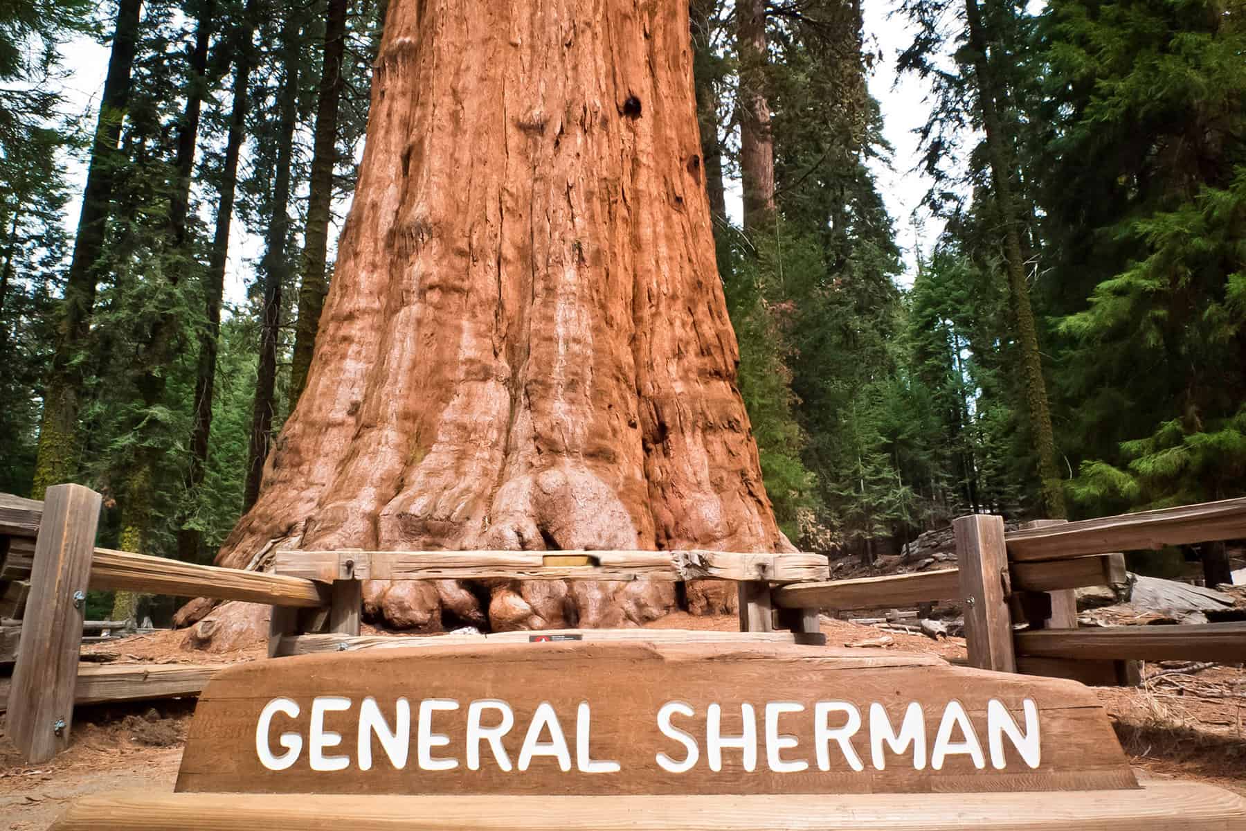 general Sherman en Parque de Sequoias Gigantes